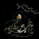 Profile picture of ‌حسین نوایی‌