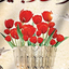 Profile picture of ‌بلوچ‌
