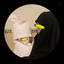 Profile picture of ‌«ھ‌.سمیع‌زادھ»‌