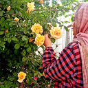 Profile picture of ‌Leila Ghorbani‌