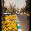 Profile picture of ‌ی آدم‌