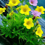 Profile picture of ‌حیاتی‌