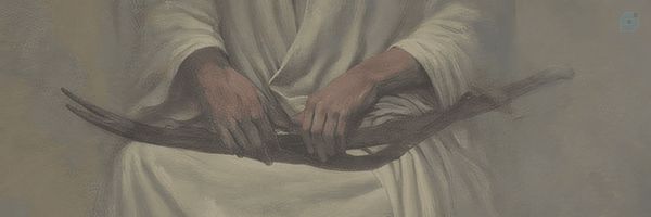 ‌زِد‌'s header picture