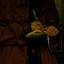 Profile picture of ‌محـدثه‌