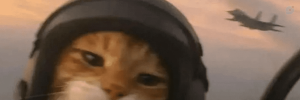 ‌Cat Secret‌'s header picture
