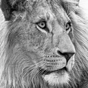Profile picture of ‌** تقی پور**‌