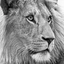 Profile picture of ‌** تقی پور**‌