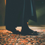 Profile picture of ‌دختری‌زیرگنبدکبود‌