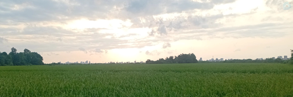 ‌ابوالحسن اسماعیل نژاد‌'s header picture