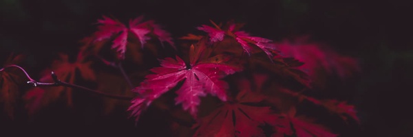 ‌آسوده⚡‌'s header picture