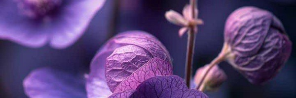 ‌🟤مجتبی‌'s header picture