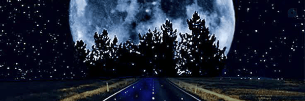 ‌ડꪖᦔꫀᧁꫝ‌'s header picture