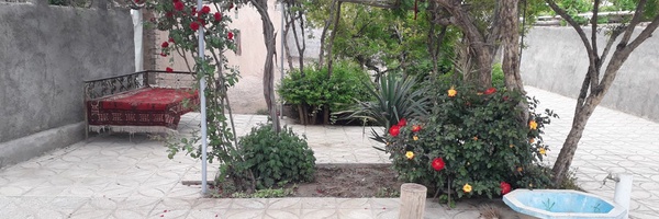 ‌رضا خاتمی‌'s header picture
