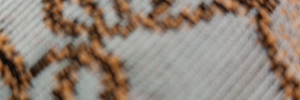 ‌user1748160330628077540‌'s header picture