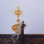 Profile picture of ‌مُحَنّا🖐🏻‌