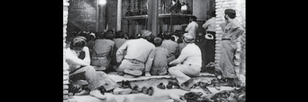 ‌سید علیرضا شاهین ( شاهچراغی )‌'s header picture