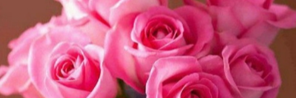‌Parvaneh Ghorbani‌'s header picture