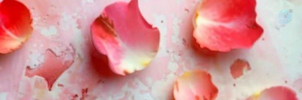 ‌گلزار‌'s header picture