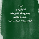 Profile picture of ‌Roya Amani‌