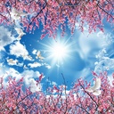 Profile picture of ‌سمیه مقیمی‌