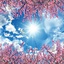 Profile picture of ‌سمیه مقیمی‌