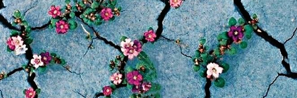 ‌فرزند بهار‌'s header picture