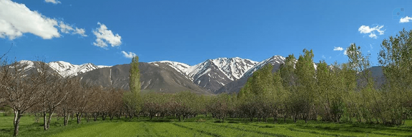 ‌نادر غیور‌'s header picture