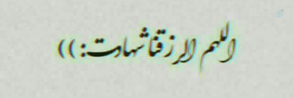‌Sara‌'s header picture