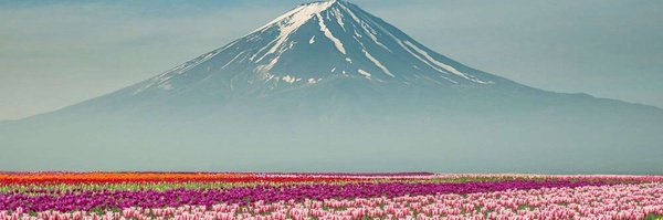 ‌سرباز مهدی‌'s header picture