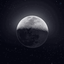 Profile picture of ‌𝓯𝓪𝓭𝓪𝓴 𝓪𝓵𝓲‌