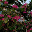 Profile picture of ‌Reza‌