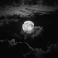 Profile picture of ‌Negar‌