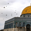 Profile picture of ‌☫ مُخٰابِر ~ امیرحسین عزیزی‌