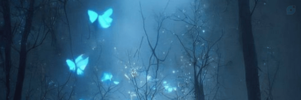 ‌طَبیب؛🍃‌'s header picture