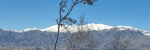 ‌Hono Sky‌'s header picture