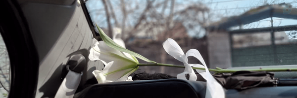 ‌لونا‌'s header picture