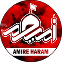 Profile picture of ‌امـیــرِحــَـرَم ✔️‌