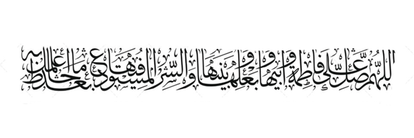 ‌Meysam Safikhani‌'s header picture