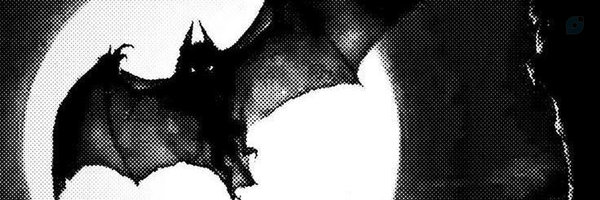 ‌Shoco‌'s header picture