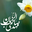 Profile picture of ‌F Khodabakhsh‌