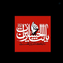 Profile picture of ‌سید رضا عادلی‌