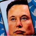 Profile picture of ‌elon must‌