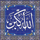 Profile picture of ‌.S.a Shahmiri‌