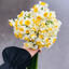 Profile picture of ‌ALIZADEH‌