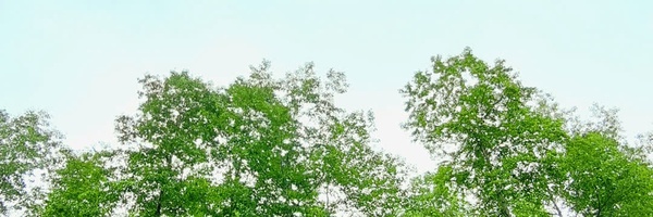 ‌امین خلیل نژاد‌'s header picture