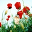 Profile picture of ‌مهدی‌