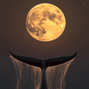 Profile picture of ‌آقای مهدوی‌