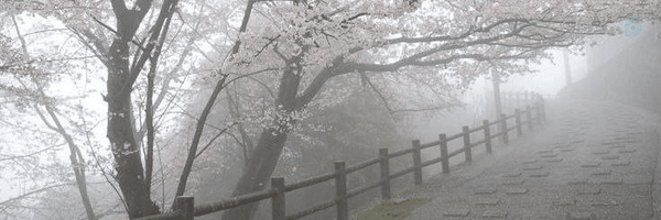 ‌Олень‌'s header picture