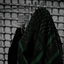 Profile picture of ‌دختر کوچولو 𐙚‌