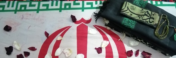 ‌پرستوی مهاجر‌'s header picture